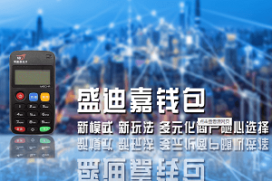 盛迪嘉迪POS收到验证码